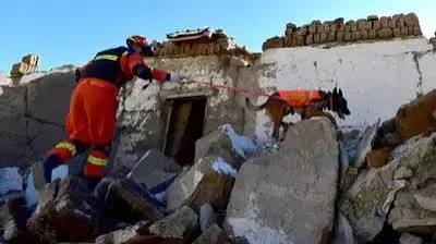 तिब्बत में 7 तीव्रता का भूकंप, 16 मौतें, 65 घायल